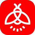 火萤视频壁纸