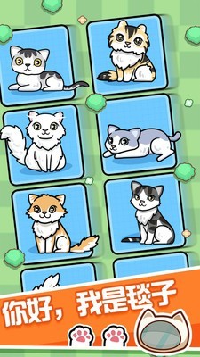 跑酷云养猫