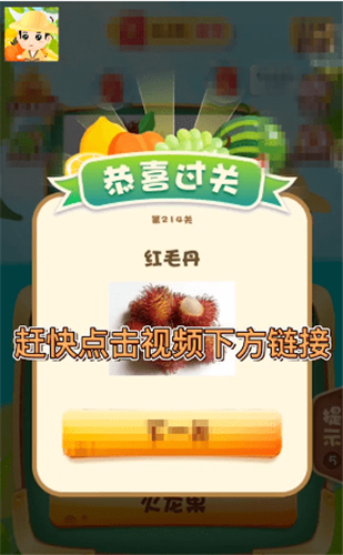 全民猜猜小动物