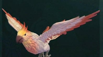 创造与魔法云斑鹦鸟饲料怎么做