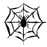 Spider Network安卓版下载_Spider Network正式版下载