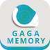gagamemory管理手册下载_gagamemory管理手册手机版下载